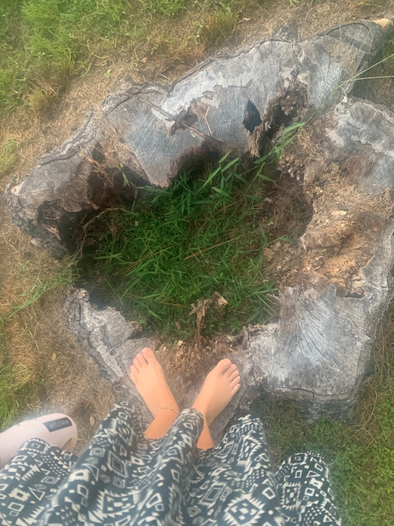 heart shaped tree hole
